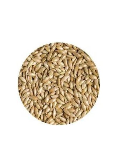 Aspur Sade Kanarya Yemi 1 KG