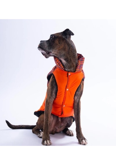 Pawstar Turuncu Elgin Paws Su İtici Orta-büyük Irk Köpek Puf Yelek Yağmurluk