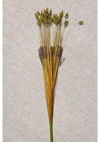 Pasabahce Grass 75 Cm Yeşil - 1 Adet