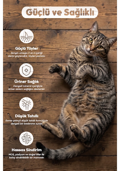 Petissimo Gourmet Gerçek Somonlu Premium Yetişkin Kedi Maması 2,5 Kg - Kısırlaştırılmış, Düşük Tahıllı