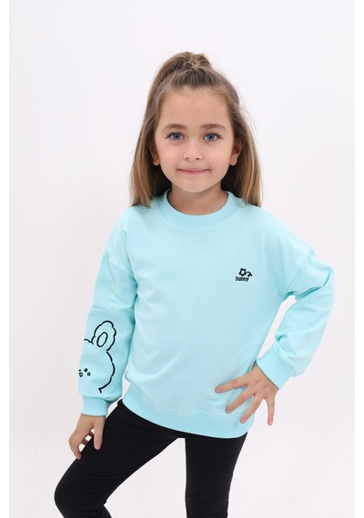 Toontoy Kız Çocuk Nakışlı Sweatshirt Su Yeşili