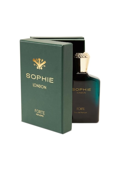 Sophie London Forte Erkek Parfüm EDP 100 ML