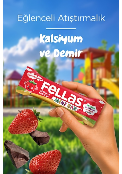 Fellas Çilek ve Kakaolu Mini Kids Meyve Bar 12 x 28 G