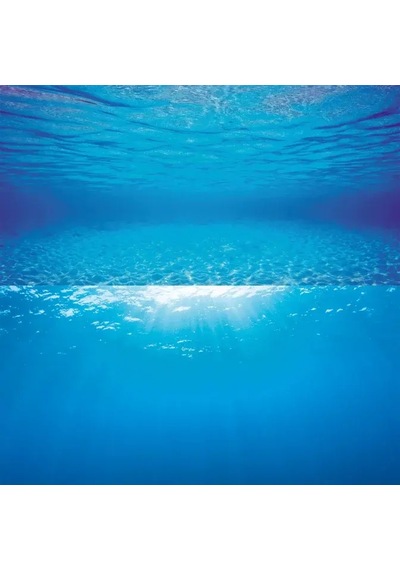 Juwel Poster1 Plant/reef - S Arka Fon 60 X 30 Cm