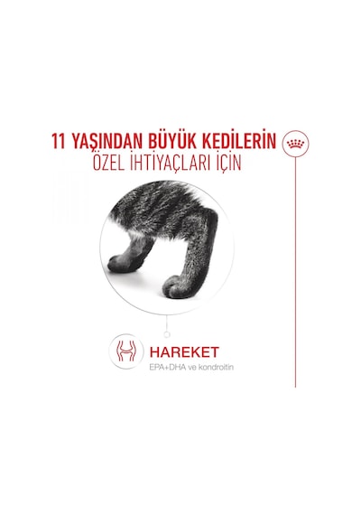 Royal Canin 11 Yaş ve Üzeri Kediler İçin Yaş Kedi Maması 12 x 85 G