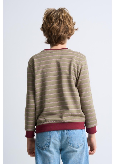 Alexandergardi Alexandergardı Çizgili Bisiklet Yaka Çocuk Sweatshirt Bordo