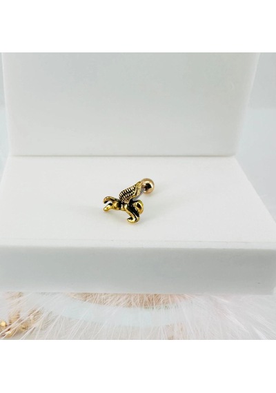 Tragus Kıkırdak Küpesi Diğer 12973200