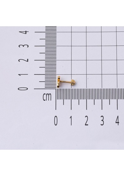 Bilezikci  14 Ayar Altın Piercing Tragus Küpe Kphsy14k22496 Sarı