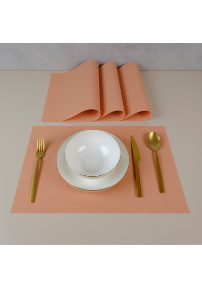 Maxstyle Serene Salmon 4 Parça Amerikan Servis 30x45 Cm Renkli