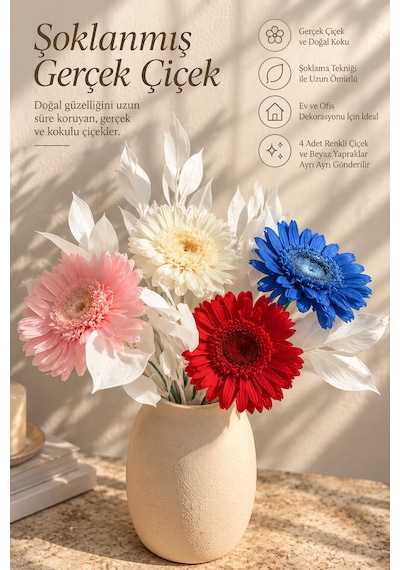 Premium Şoklanmış Gerçek Çiçek Buketi 4 Renkli Gerbera Ve Beyaz Dekoratif Yapraklar Çok  Renkli