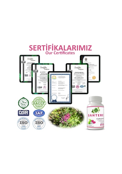 Gökçek Şifa Şahtere (Fumaria Capsule) 60 Kapsül