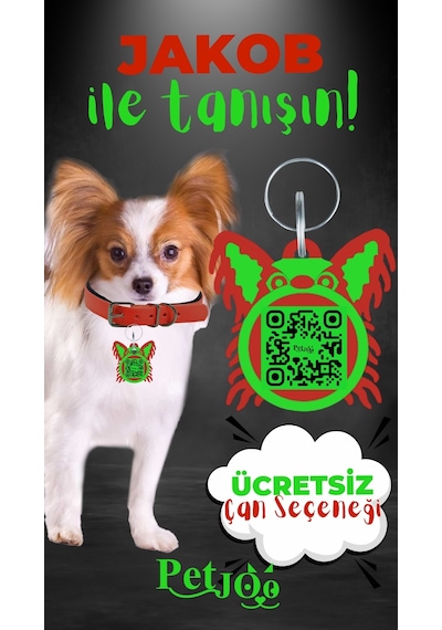 Petjoo 8.Jakob Yeşil-Kırmızı Qr'lı Köpek Künyesi