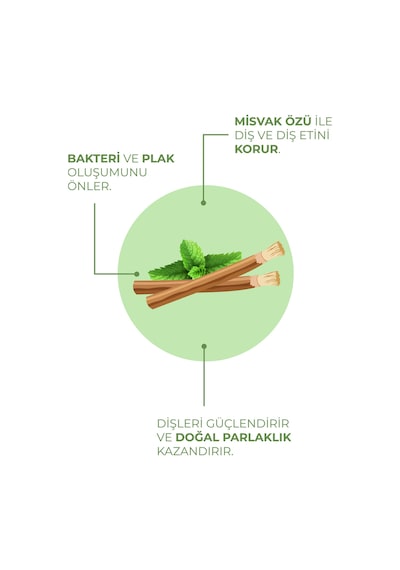 Agarta Doğal Misvak Özlü Diş Macunu 100 ML