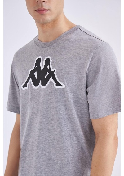 Kappa Logo Zobi Tk Gri Erkek Kısa Kol T-Shirt - 555984412 Gri