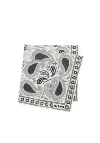 Cacharel Erkek Gri Mendil 50290298-100