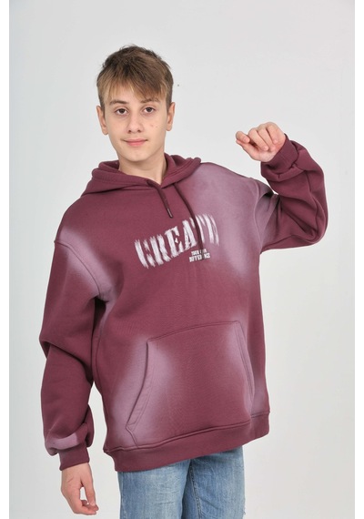 Toontoy Kids Toontoy Erkek Çocuk Pistole Baskılı Sweatshirt Mor