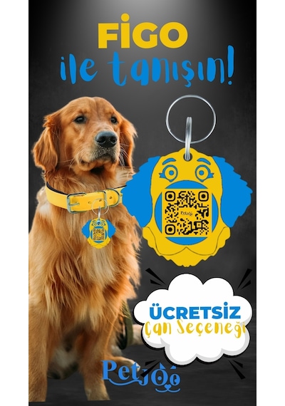 Petjoo 27.Figo Mavi-Sarı Qr'lı Köpek Künyesi
