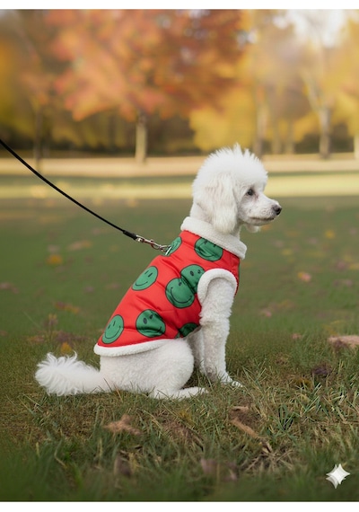 Kedi - Köpek Kışlık İçi Peluş Şişme Yelek - Mont - Kıyafet -sweat