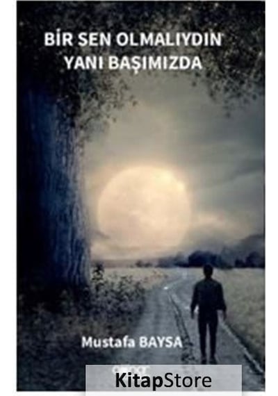 Bir Sen Olmalıydın Yanı Başımızda - Mustafa Baysa - Gülnar Yayınları