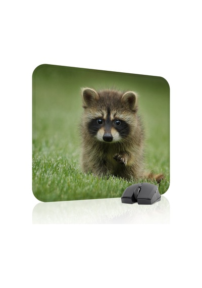 Rakun Kaymaz Dikişli Kauçuk Oyuncu Mousepad V2 - 48x40 Xl Gaming Mouse Pad Fare Altlığı