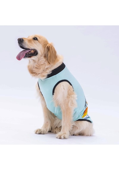 Pawstar Mint Sunrise Büyük Köpek Tişörtü Köpek Kıyafeti