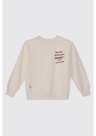 Panço Erkek Çocuk Baskılı Ekru Sweatshirt 2621bk08030 Krem