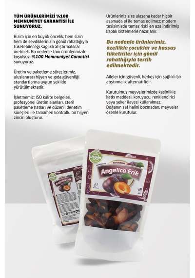 Kurutulmuş Angelica Erik 60 G