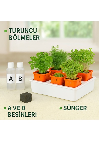 Topraksız Tarım Seti Hobi 6 Bölmeli Mini Hidroponik Bahçe Seti