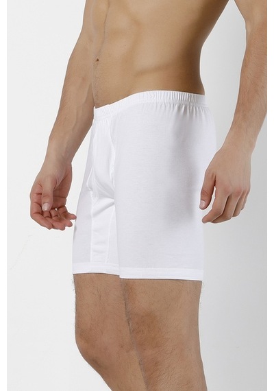 Doremi Erkek Arjantin Boxer 001