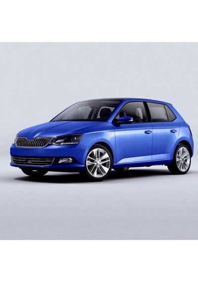 Skoda Fabia 3 2015-2021 Sol Arka Kapı Kolu İç Braketi 5n0839885h