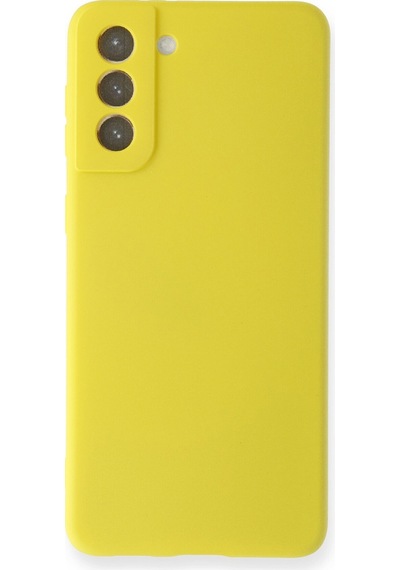 Nettech Samsung Galaxy S21 Plus Uyumlu Suide Arka Koruma Kılıf