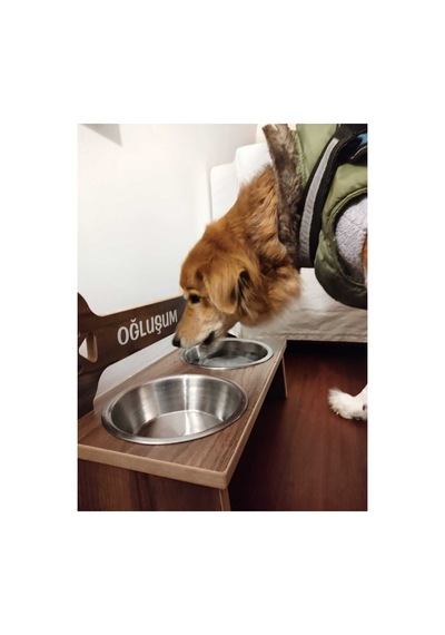 Köpek Su Ve Mama Kabı - Kemik Model - Özel İsim Baskılı -büyük Irk-ceviz Mdf - Çelik Kase - 2 1000ml