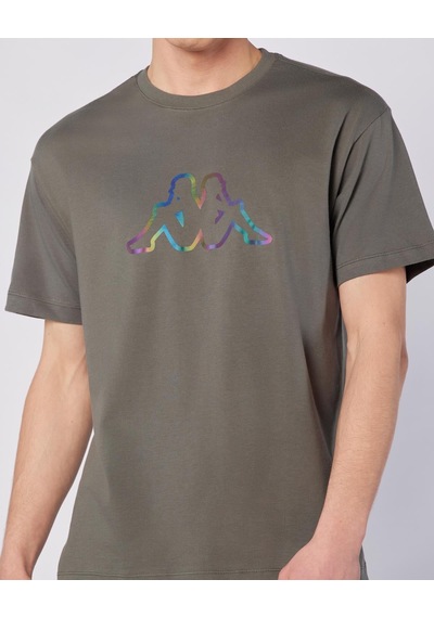 Kappa Logo Brian T-shirt Erkek Gri Regular Tişört