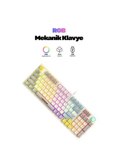 Mekanik Hisli Gaming Blue Switch Türkçe Q 9 Farklı Rgb Işıklı Beyaz Oyuncu Klavyesi