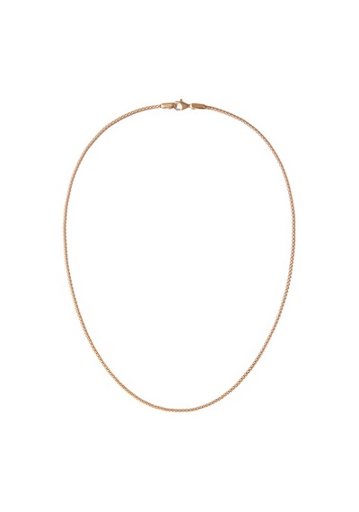 Daniel Wellington Dw00401103 Kadın Kolye Diğer