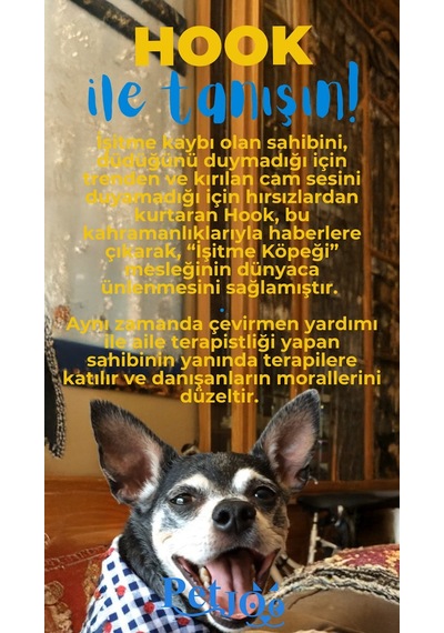 Petjoo 7.Hook Mavi-Sarı Qr'lı Köpek Künyesi