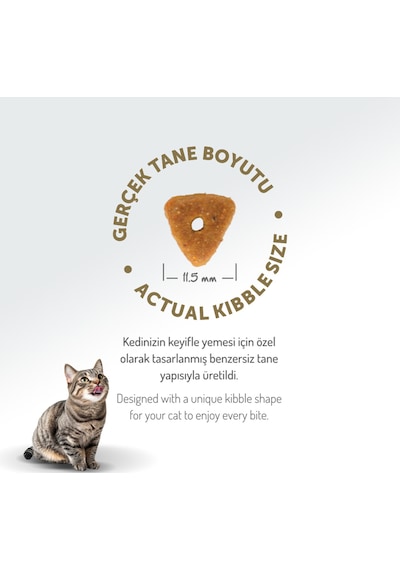 12 Kg Kolajenli Somonlu Az Tahıllı Kısırlaştırılmış Kedi Maması