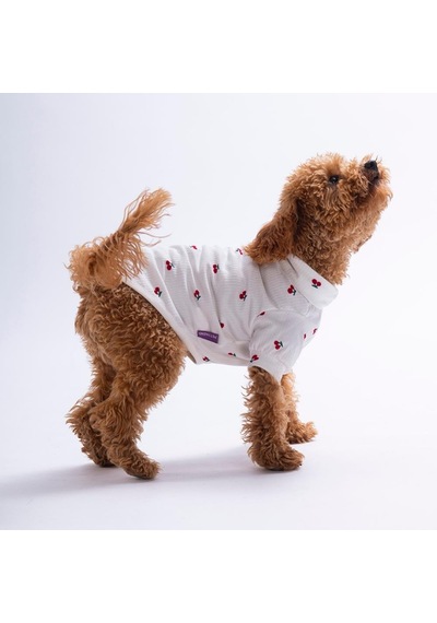 Cherry Bloom Kiraz Desenli Kedi Köpek Sweati - Kedi Köpek Kıyafeti-kedi Köpek Sweati