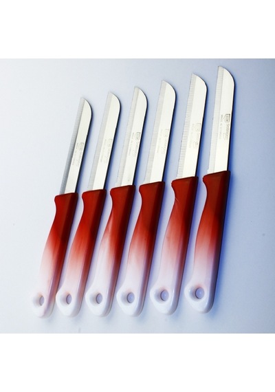 Solingen Meyve Bıçağı Tırtıklı 6'Lı Set