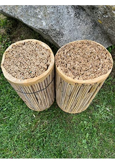 Greenosier 1mx3m Hasır Kamış Çit