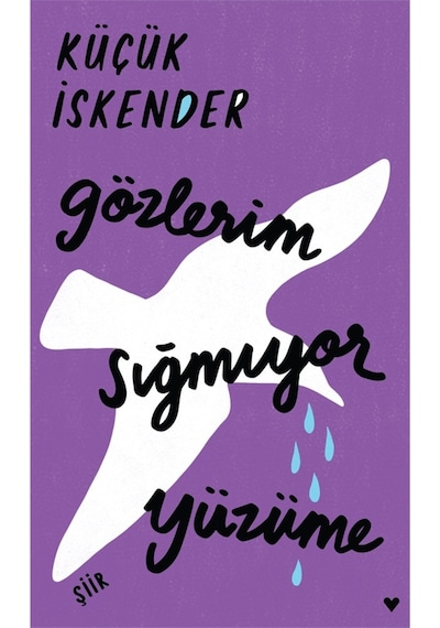 Gözlerim Sığmıyor Yüzüme-Ciltli - küçük İskender - Can Yayınları