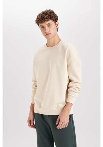 DeFacto Boxy Fit Bisiklet Yaka Baskılı Sweatshirt X8282AZ24AUBG700 Bej