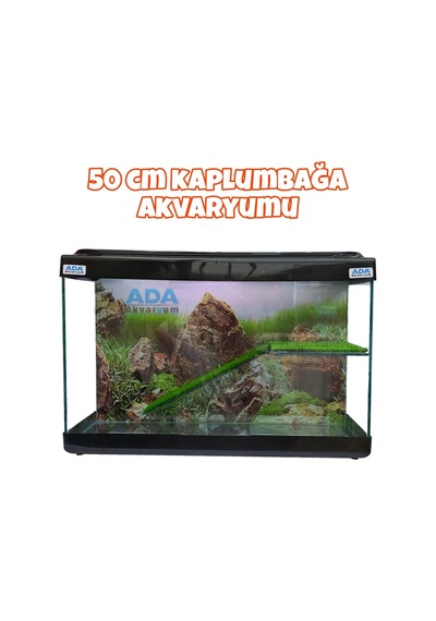 Ada Akvaryum Su Kaplumbağası Akvaryumu Bahçeli Rampalı Dinlenme 50x30x25 Cm Arka Plan Hediyeli