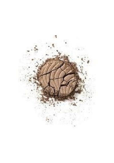 Flormar Göz Farı Mono Eyeshadow Golden Beige No: 14