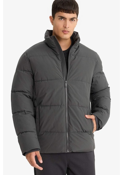 Defacto Su İtici Regular Fit Dik Yaka Fermuarlı Cepli Mont E9991ax25wnar104 Antrasit-ar104