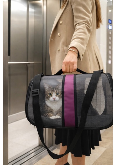 Newfull Kedi Taşıma Çantası Seyahat Evcil Hayvan Çantası Fileli Büyük Bot