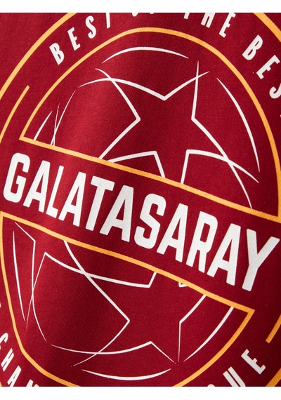 Gsstore Galatasaray Ucl Erkek T-shirt E252217 Bordo