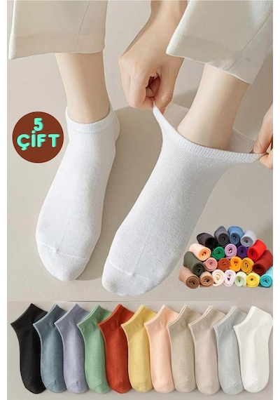 Miss Lana Ladies Socks Kadın Renkli 5 Çift Likralı Pamuklu Penye Patik Çorap Çok Renkli