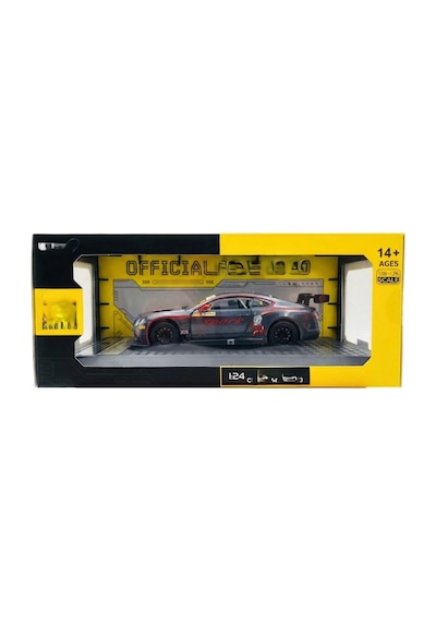 1/24 Gt3 Silver Grey Model Araba