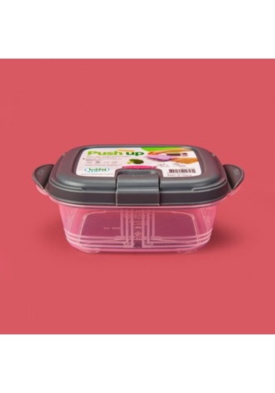 Life Kare Push Up Saklama Kabı - Asorti - 300 Ml Çok Renkli